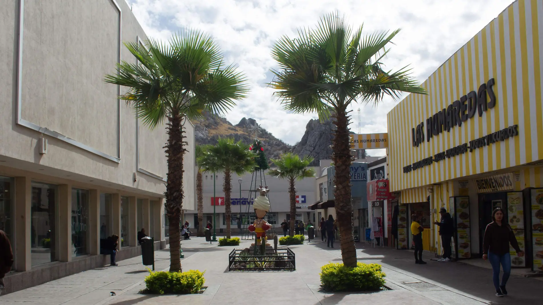 Proyecto paseo del sonorense distinguido en el centro - Mike Acosta (4)